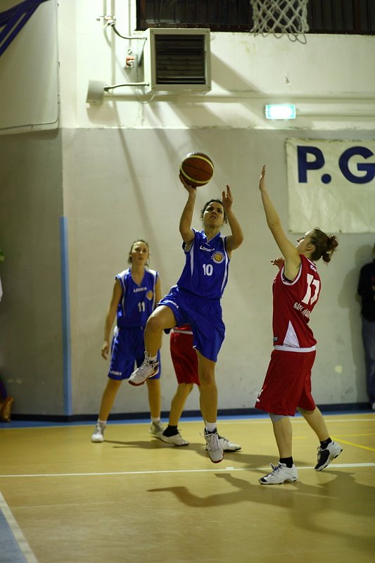 Basket 443002